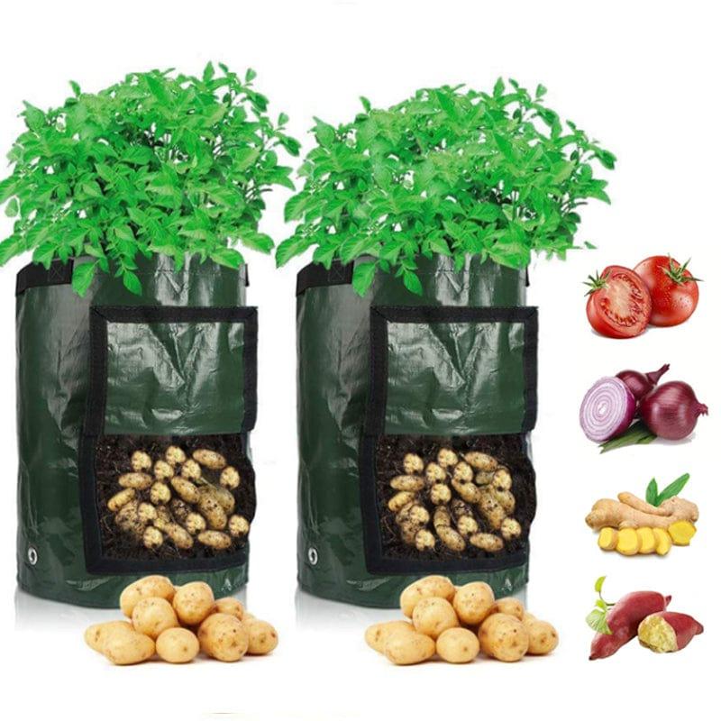 Potato Grow Bags - Pure Harbor