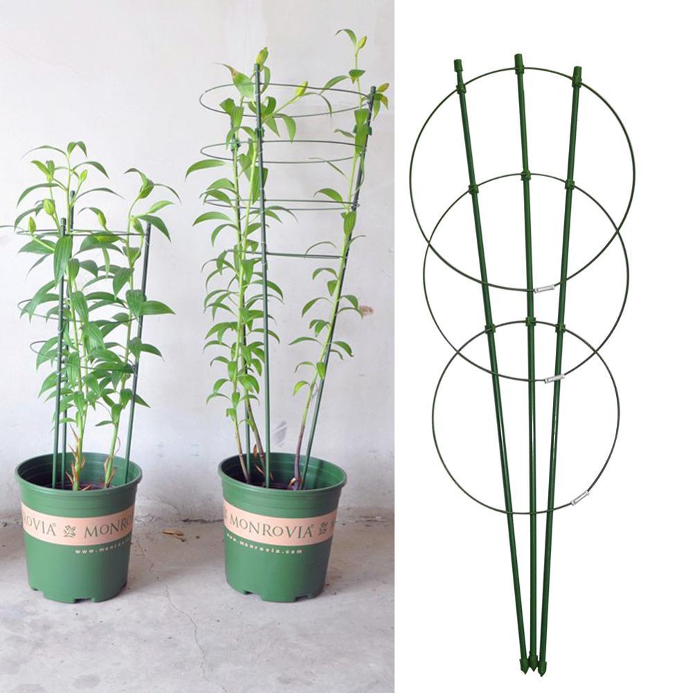 Gardening plant support rack - Pure Harbor